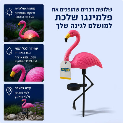 פלמינגו סולארי לגינה (2 יחידות)